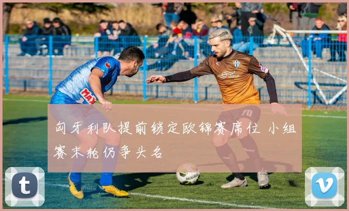 匈牙利队提前锁定欧锦赛席位 小组赛末轮仍争头名